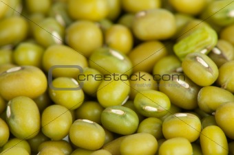 mung beans background
