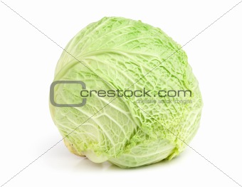 Fresh savoy cabbage