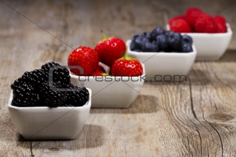 bowls with wild berries