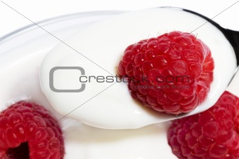 closeup of a raspberry on a spoon with yogurt