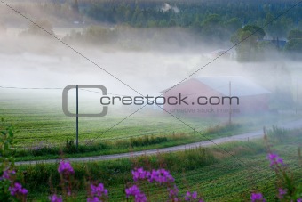 Foggy rural landscape
