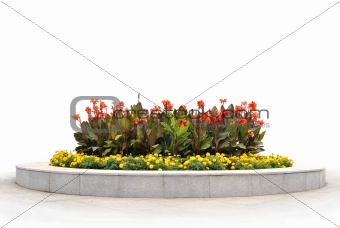 The flower-bed with red and yellow flowers