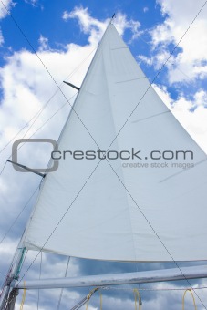 Sailing yacht with white sail