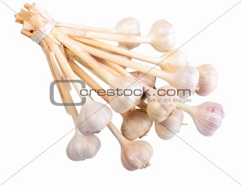Bunch of white garlics