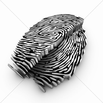Cutting plane of a 3d fingerprint