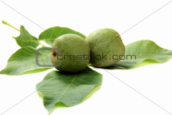 Green fruit of a walnut
