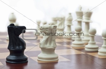 Two Chess Knights Facing Each Other