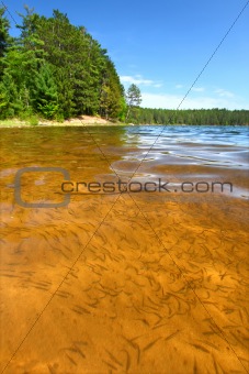 Clear Waters of Northwoods Wisconsin
