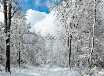 Snowbound winter earthroad