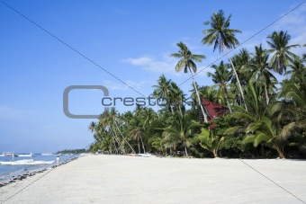 alona beach bohol island philippines