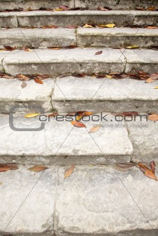 leaves on old stairs
