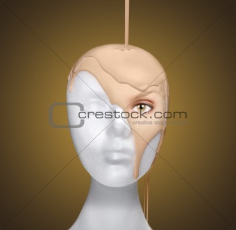 Concept of Pouring a Face Onto a Mannequin Head