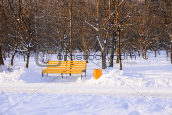 Bench in winter park