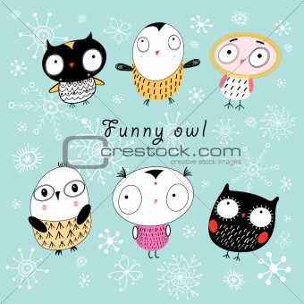 funny owl