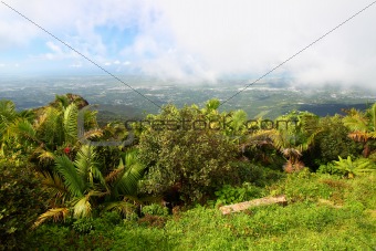 Puerto Rico Landscape