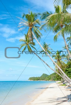 Tropical beach - vacation background