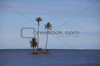 Island in the South Pacific