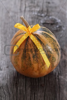 Pumpkin decorated with ribbon 