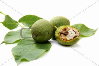 Green fruit of a walnut.