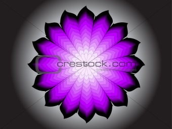 colored flower