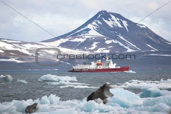 Ship in the fjord - Arctic Ocean, Spitsbergen