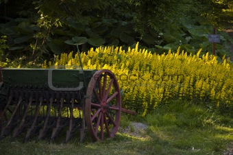 Antique seeder on a lawn.