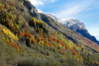 Mountain autumn scenic