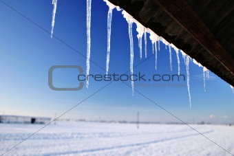 Winter Icicles