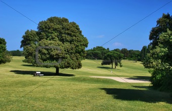 Golf Playground