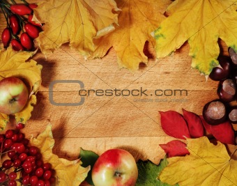 Still life with autumn leaves 