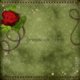beautiful background with red rose