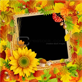Picture on autumn background 