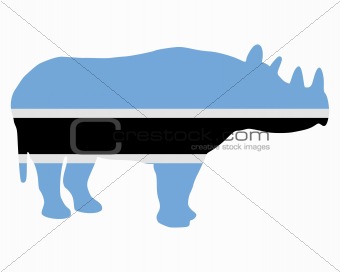 Botswana black rhino