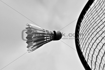 Shuttlecock against racket