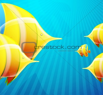 Fish illustration for your design