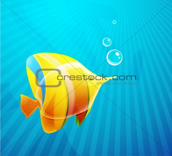 Fish illustration for your design