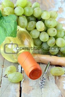 bottle of white wine, grapes, and a corkscrew on a natural background