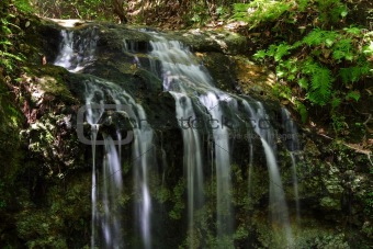 Falling Waters State Park