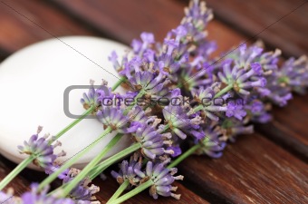 Bar of natural soap with lavender flowers