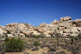Big Boulders