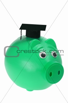 Piggy Bank with Mortar