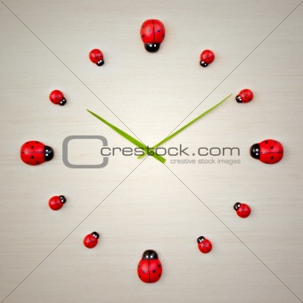 ladybird clock