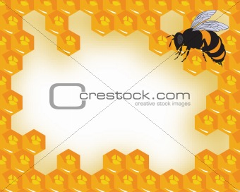 the vector bees and honeycomb with honey eps file