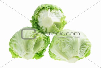 Iceberg Lettuce 