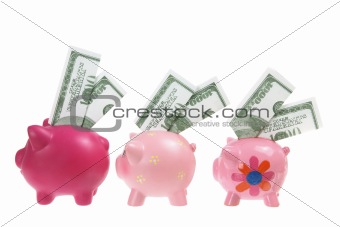 Piggybanks with Banknotes 