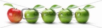 Row of Apples 