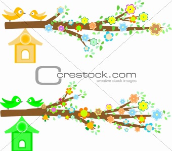 branch of a tree with flowers isolated on white background