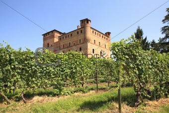 Vineyards and castle of Grinzane Cavour.