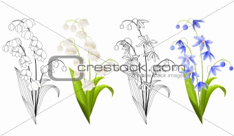 Collection of spring flowers isolated