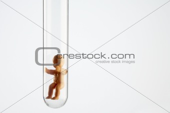 Baby Figurine In A Test Tube